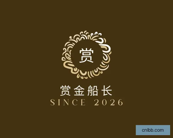关于赏金船长
